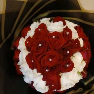 any occasion 10