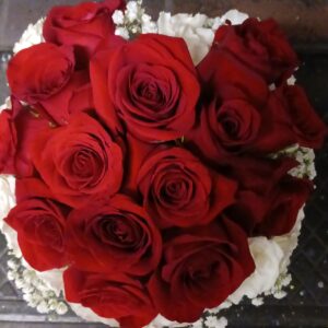 any occasion 11