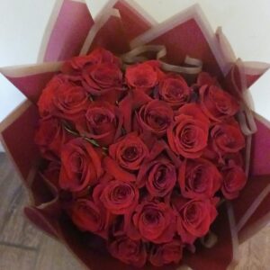 any occasion 13