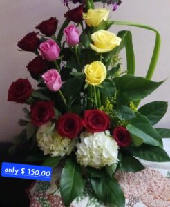 Any Occasion 2