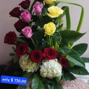 Any Occasion 2