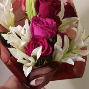 any occasion 29