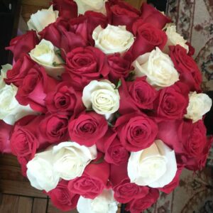 any occasion 30