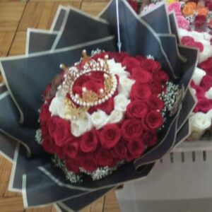 any occasion 31