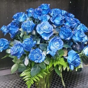 any occasion 38