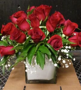 any occasion 4