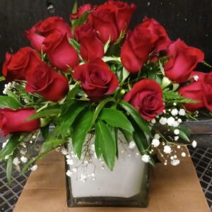 any occasion 4