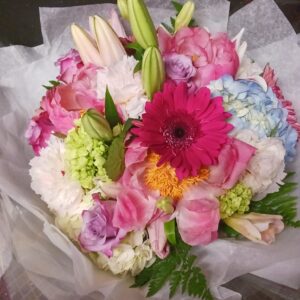any occasion 6