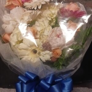any occasion 7